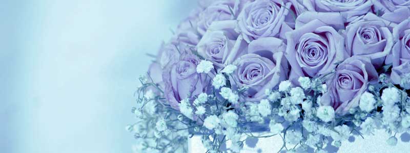 ZbNXjɂ߂̂ߏof 0007